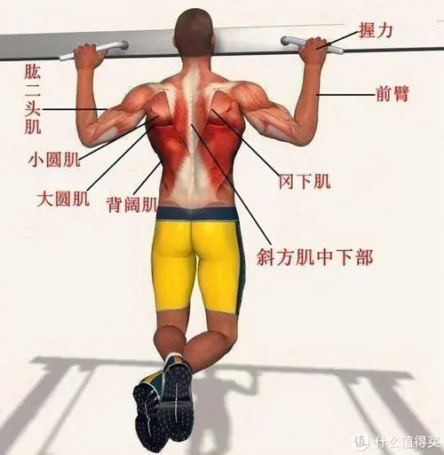 物联网sdn是什么意思 物联网sdn是什么意思